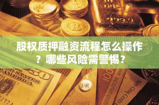 武汉股权质押融资流程怎么操作？哪些风险需警惕？