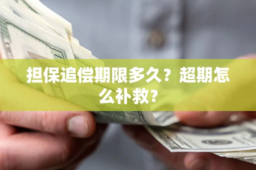 武汉担保追偿期限多久？超期怎么补救？